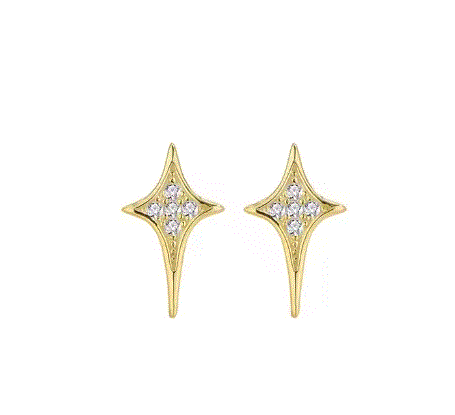 Women's Star Earring